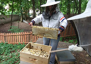 BienenAG